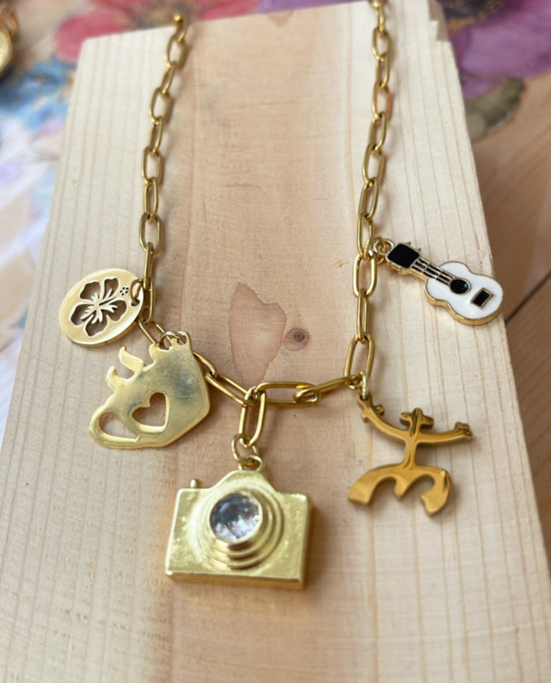 Debi tomar más fotos