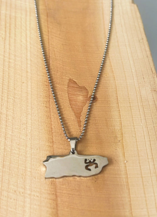 El río la Plata - PR